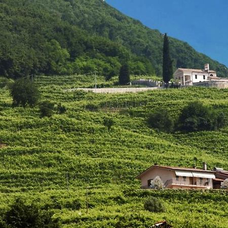 Casa Bortolin Bed & Breakfast Valdobbiadene Bagian luar foto