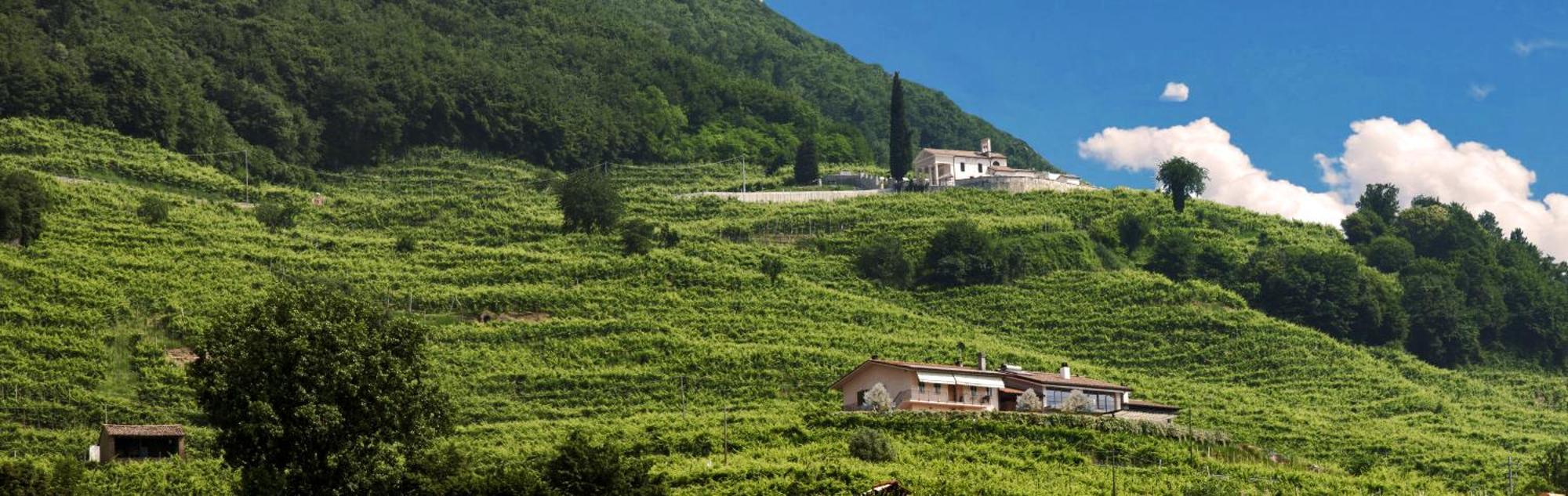 Casa Bortolin Bed & Breakfast Valdobbiadene Bagian luar foto